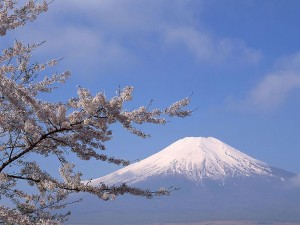 富士山02