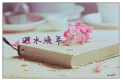 【網(wǎng)絡美文】逝水流年，寂寞滄桑了傷 作者:殘月