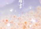 【古風(fēng)純音】胭脂雪 琵琶古箏合奏