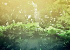 【網(wǎng)絡(luò)美文】蘸指一夏，離愁萬千橫生