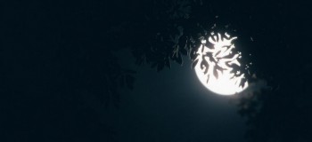 【現(xiàn)代詩歌】囈覺 文/心泉清韻