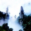 【現(xiàn)代詩(shī)歌】美人的情書