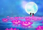 【古風(fēng)琵琶】中國(guó)風(fēng)純音《我如星·君如月》