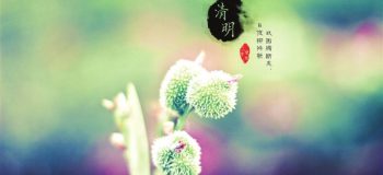 【傷感散文】又是一年清明時，多少淚與多少愁 文/林