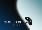 【專輯推薦】輕輕閉上眼睛，讓我們一起《喚醒一棵樹》