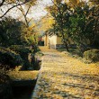 【原創(chuàng)】秋語寄托，擱淺心地（隨筆散章）