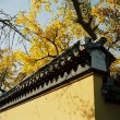 【原創(chuàng)】隨處可見那些禪詞斑駁（現(xiàn)代詩歌）