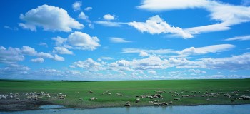 【散文詩】在那遙遠(yuǎn)的地方 文/冰山雪蓮